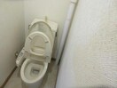 ﾊｲｾﾝｽ