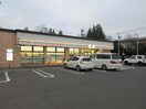 セブンイレブン東8条南12丁目店(コンビニ)まで350m ｸﾞﾗﾝﾄﾞｺﾓﾝｽﾞ