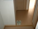  ｺﾝﾁｪﾙﾄ