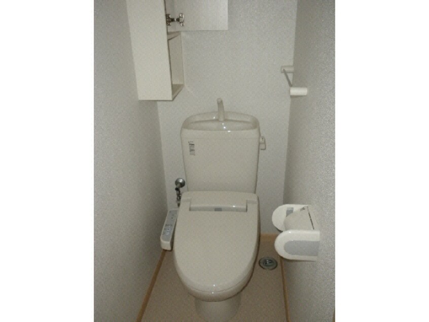  ｺﾝﾁｪﾙﾄ