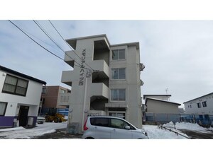 ﾒﾓﾘｱﾙﾊｲﾂ25