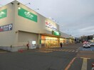 コープさっぽろかしわ店(スーパー)まで550m ｸﾞﾗﾝﾄﾞｺﾓﾝｽﾞⅡ