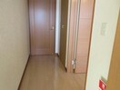  ﾎﾞﾇｰﾙ光南