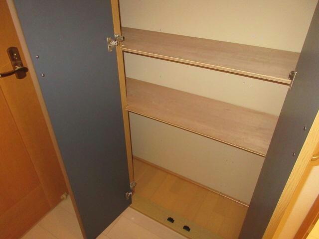 ﾎﾞﾇｰﾙ光南