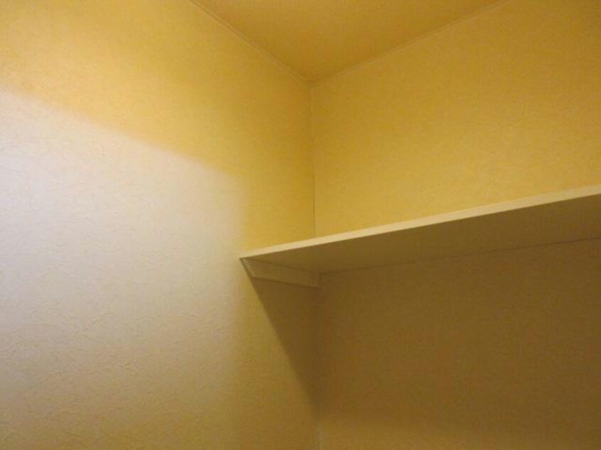  ﾎﾞﾇｰﾙ光南