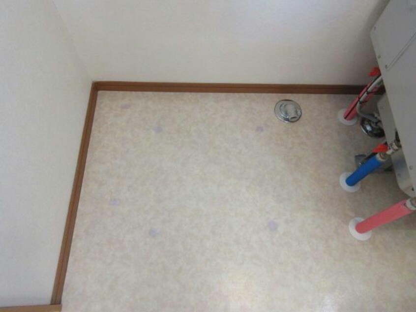  ﾎﾞﾇｰﾙ光南