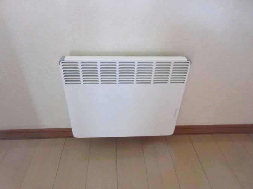  ﾎﾞﾇｰﾙ光南