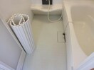  ﾎﾞﾇｰﾙ光南