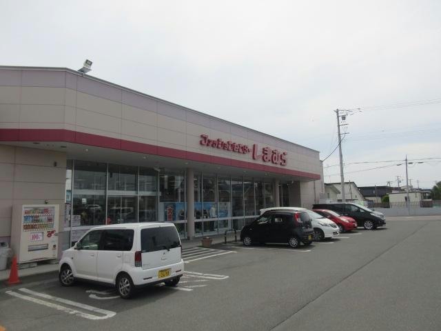しまむら弥生店(ショッピングセンター/アウトレットモール)まで803m ﾘｳﾞｪｰﾙT