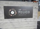 FElico（フェリコ）の外観