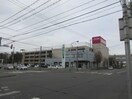 イオン帯広店(スーパー)まで711m QuinnVERA（クインベラ）