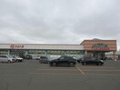 フクハラ弥生店(スーパー)まで1124m ルシアス②