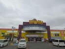 ワッツウィズ帯広WOW店(ディスカウントショップ)まで755m ルシアス②