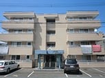 ノースシティ17