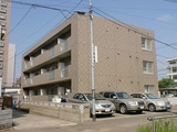 Bellevue14