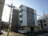 ROSE WOOD N10