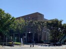 私立熊本学園大学(大学/短大/専門学校)まで847m 松本ビル