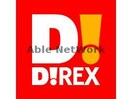 DiREX九品寺店(ディスカウントショップ)まで434m ディアスマドレカーサ