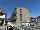 アゲラータム