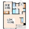 novel八王寺 1LDKの間取り