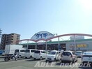 DCMダイキ本山店(電気量販店/ホームセンター)まで948m ADC本荘ラニカイ