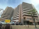 グリーンコーポ熊本A(23棟)・B(24棟)・C(24棟)の外観