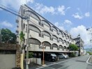  熊本市電Ｂ系統<熊本市交通局>/県立体育館前駅 徒歩13分 4階 築34年