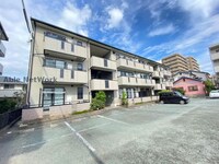 グレイスコート