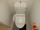 同型モデル 水前寺こまち
