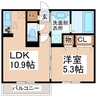 リトルフォレストα 1LDKの間取り