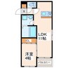 坪井6丁目新築アパート 1LDKの間取り