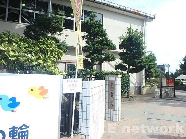 熊本市立白坪小学校(小学校)まで560m ソレイユ・ヒロ　NO.1.2.3