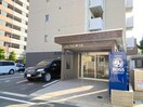  Jeunesse新大江
