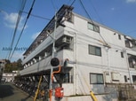 メイン桜山