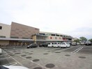 イオン都城駅前店(スーパー)まで706m 第６年見マンション