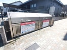  グレイスプルメリア