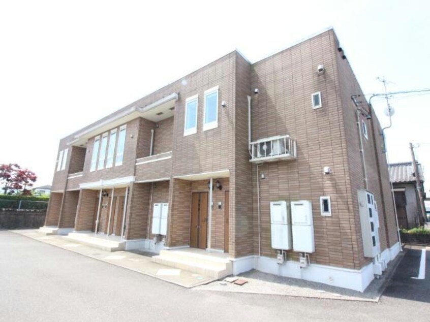  パインフォレスト　モーニング