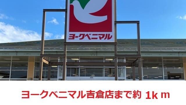 ヨークベニマル吉倉(スーパー)まで1000m ベアー・ハウス