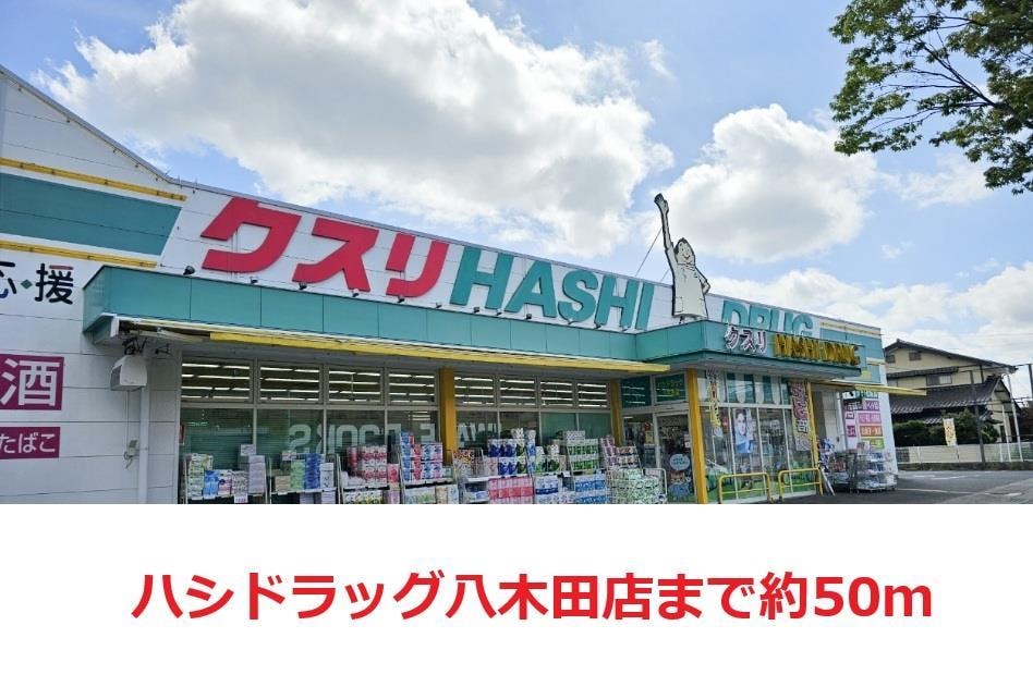 ハシドラッグ八木田(ドラッグストア)まで50m ベアー・ハウス