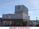 福島信用金庫　森合支店(銀行)まで350m たちばな荘