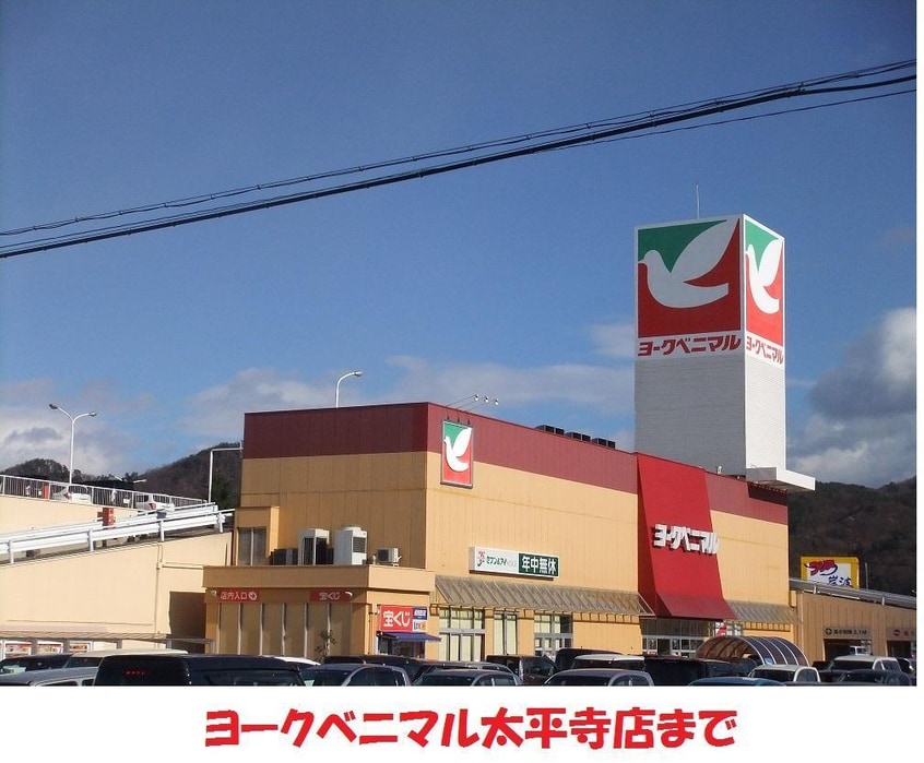 ヨークベニマル太平寺店(スーパー)まで800m ロイヤルコート