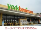 ヨークベニマル(スーパー)まで850m アネックスII（南沢又）