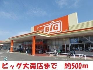 ビック大森店(スーパー)まで500m 第２カンノハイツ