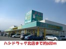 ハシドラッグ北店(ドラッグストア)まで600m アークガーデンＢ