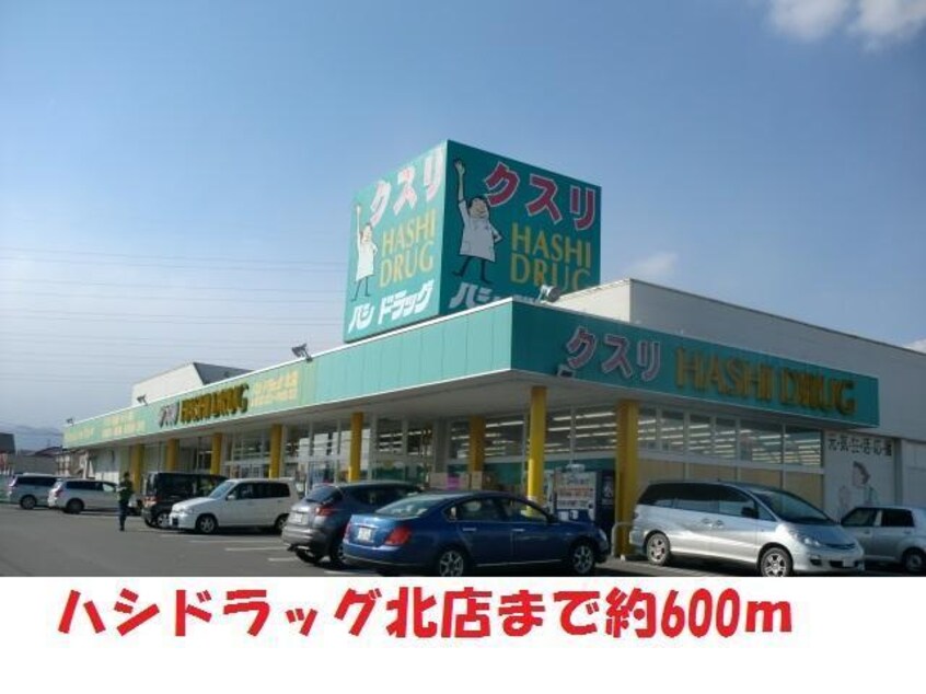 ハシドラッグ北店(ドラッグストア)まで600m アークガーデンＢ