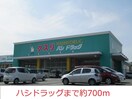 ハシドラッグ(ドラッグストア)まで700m 第６エスエスハイツ