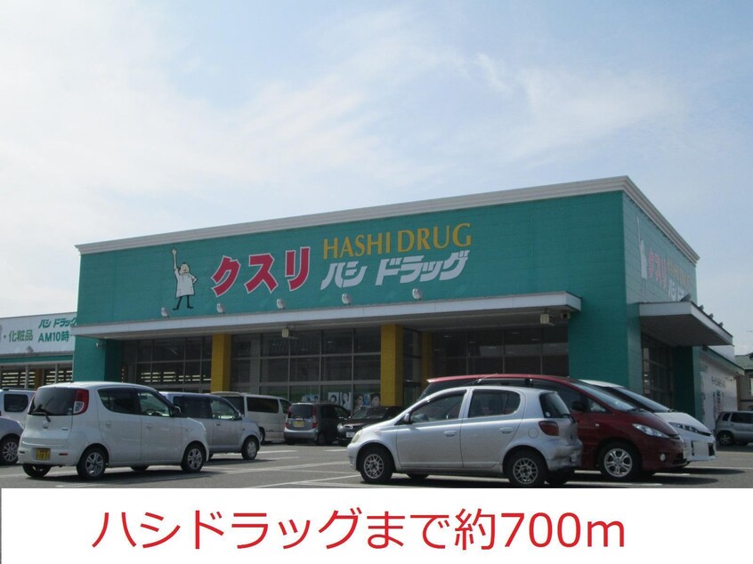 ハシドラッグ(ドラッグストア)まで700m 第６エスエスハイツ