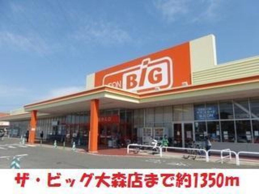 ザ・ビッグ大森店(スーパー)まで1350m アメニティタウン大森D・E・F