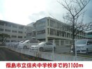 信夫中学校(中学校/中等教育学校)まで1100m アメニティタウン大森D・E・F