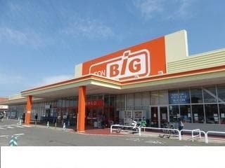 ビック(スーパー)まで220m 第8エスエスハイツ